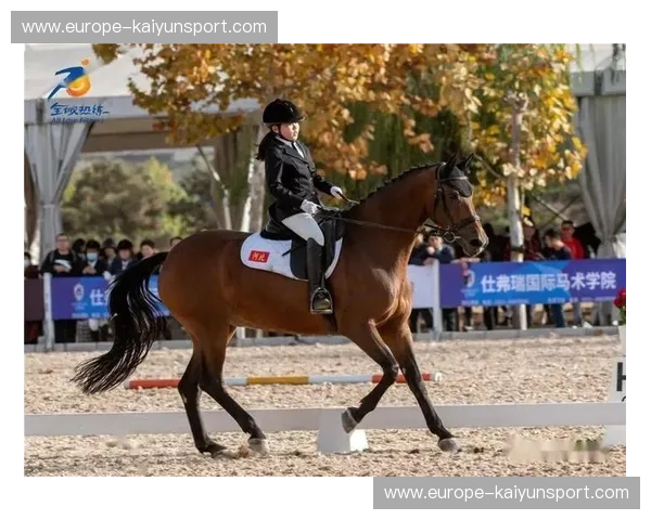 直播马术:把赛场激情和马背优雅搬到你屏幕前 直播马术:把赛场激情和马背优雅搬到你屏幕前